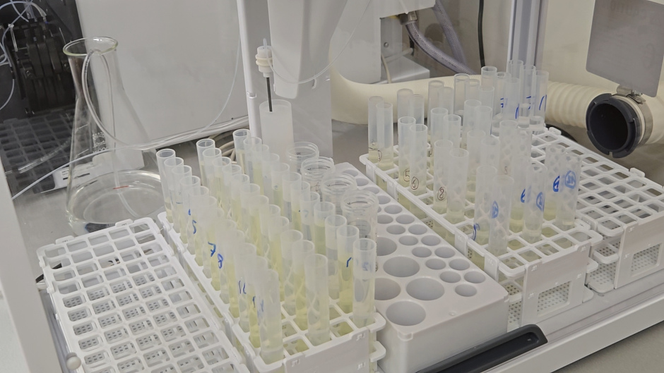 Meise Botanic Garden Laboratory